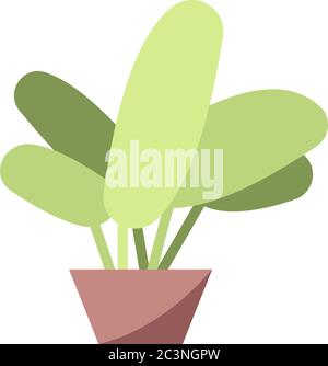 Decorative plant semi flat RGB color vector illustration Stock Vector