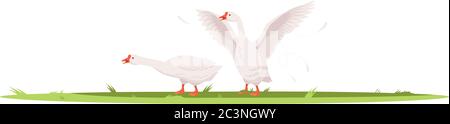 Geese semi flat RGB color vector illustration Stock Vector