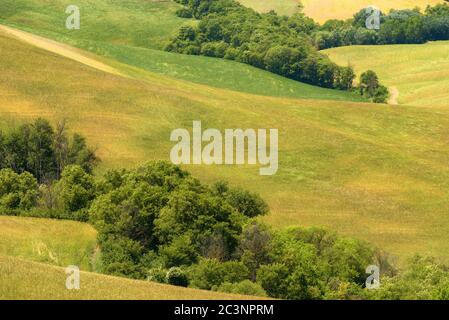 Magnificent spring rural landscape. Stunning view of tuscan green wave hills, amazing sunlight, beautiful golden fields and meadows.Tuscany, Italy Stock Photo