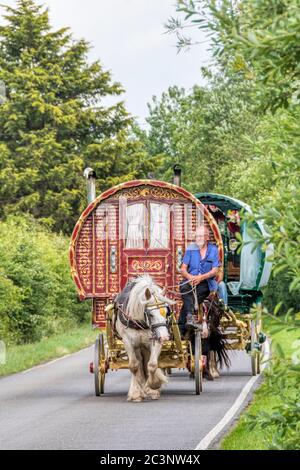 Gypsy style horse drawn caravans on a country road in Norfolk. Stock Photo