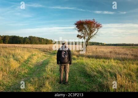 A man with a backpack standing in front of a tree in the meadow, autumn view Stock Photo