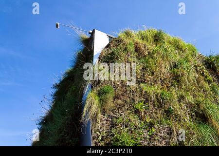 Green plants and grass growing through mesh of galvanized iron wire gabion boxes filled with soil, green living wall, vertical garden exterior facade Stock Photo