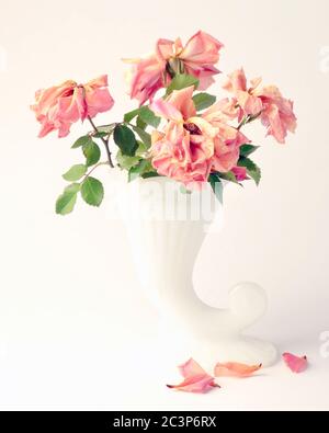 Vase Of Pink Dry Flowers On Wooden Table. Mint Wall Background. Home 