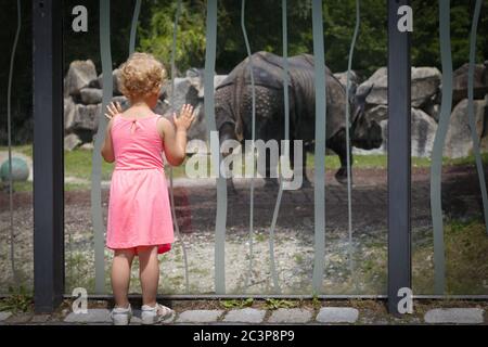little girl looks at a rhino in the reserve Stock Photo