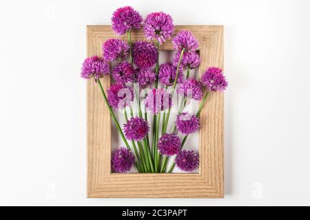 Creative layout made with purple flowers in picture frame on white background. Flat lay. Flower composition. minimal art concept Stock Photo