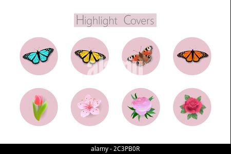 3D realistic Monarch peacock butterfly social media cover. Highlights stories flower rose tulip template. Summer travel theme concept vector Stock Vector