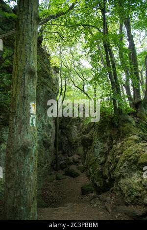 Vasas-szakadek, famous Hungarian cave, abyss and excursion site in the Visegrad mountains. Stock Photo
