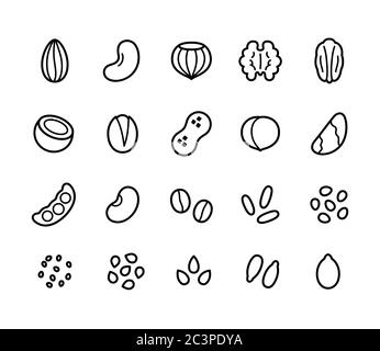 Nuts, seeds, grains and legumes line icon set. Plant based diet ingredients, non-dairy milk symbols. Stock Vector