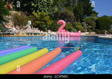 Swimming pool with young woman floating on an inflatable pink flamingo, checking her phone, and  bright rainbow coloured pool noodles in the foregroun Stock Photo