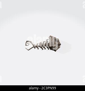 Illustration of a 3D rendering of a skeleton of a fish on a white ...