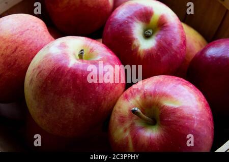 jazz apples Stock Photo