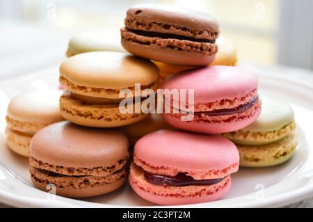 pastel macarons on a white plate Stock Photo