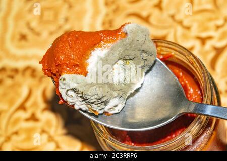 Mold growing on the tomato paste. Close up Stock Photo