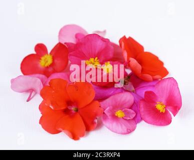 edible flowers for salads and desserts Stock Photo