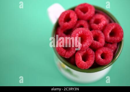 Fresh raspberries in white cup, green round, top view close up, isolated on light green background, seasonal summer fruits Stock Photo