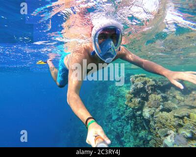 Snorkel swim in underwater exotic tropics paradise with fish and coral reef, beautiful view of tropical sea. Marsa alam, Egypt. Summer holiday vacatio Stock Photo