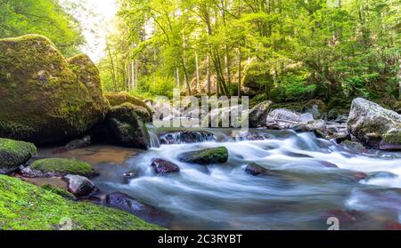 Peaceful creek in a forest. Mountain river in the wood, peaceful long exposure forest panorama, rocks with moss. Amazing stream, green nature forest Stock Photo