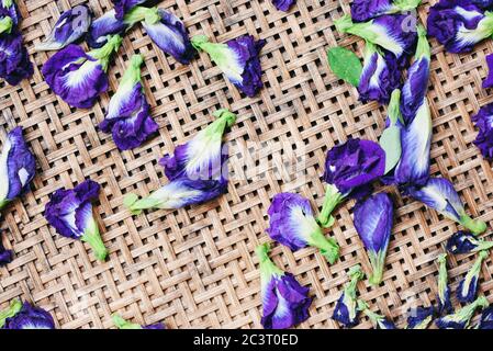 Butterfly pea flowers for dry on wooden background / Butterfly pea,bluebellvine, blue pea, cordofan pea (Clitoria ternatea) Stock Photo