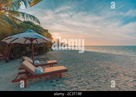 Beautiful sunset tropical beach banner. White sand and coco palms travel tourism wide panorama background concept. Amazing beach landscape. Stock Photo