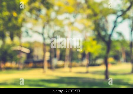 Blur nature green park with sun light abstract background. Stock Photo