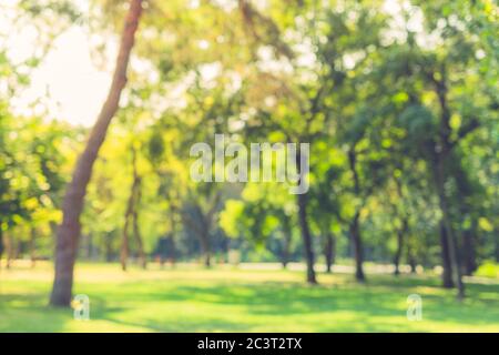 Blur nature green park with sun light abstract background. Stock Photo