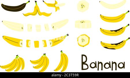 Banana whole, peeled, cut. Banana peel. Rotten brown banana. Banana slices. Bunch of bananas. Set of modern vector objects isolated on white Stock Vector