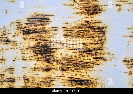 Rusted white painted metal wall. Rusty metal background with streaks of rust. The metal surface rusted spots.metal rust texture background. Stock Photo