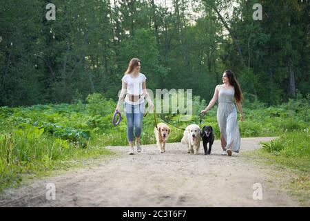 Two young women in full growth on walk with three dogs in park Stock Photo