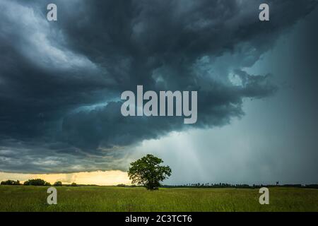 Supercell storm clouds with intense tropic rain Stock Photo