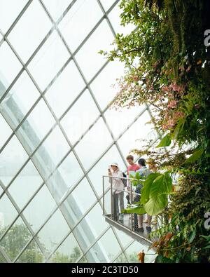 Interior view. Cooled Conservatories, Gardens by the Bay, Singapore, Singapore. Architect: Wilkinson Eyre Architects, 2011. Stock Photo