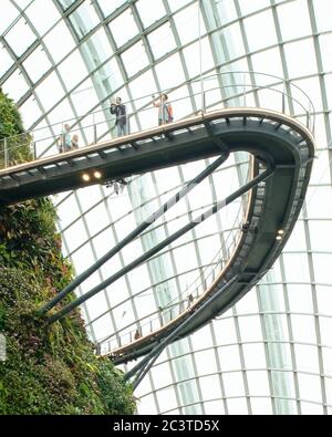 Interior view. Cooled Conservatories, Gardens by the Bay, Singapore, Singapore. Architect: Wilkinson Eyre Architects, 2011. Stock Photo