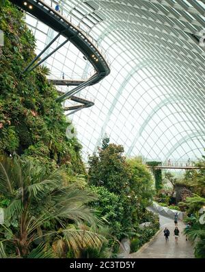 Interior view. Cooled Conservatories, Gardens by the Bay, Singapore, Singapore. Architect: Wilkinson Eyre Architects, 2011. Stock Photo