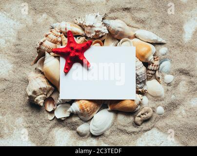 Blank white letterhead with red starfish lying on a pile of seashells. Place for the text. Stock Photo