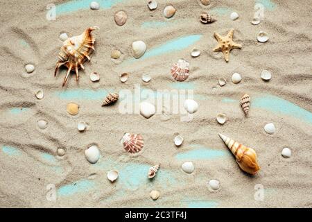 Different types of seashells are spread on sand on a turquoise background. Top view. Stock Photo