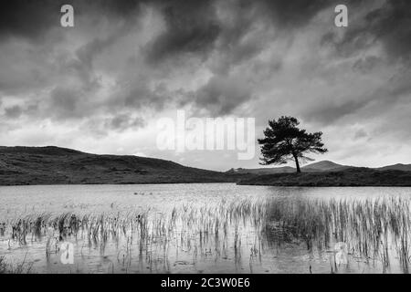 Lake District Spring images Stock Photo