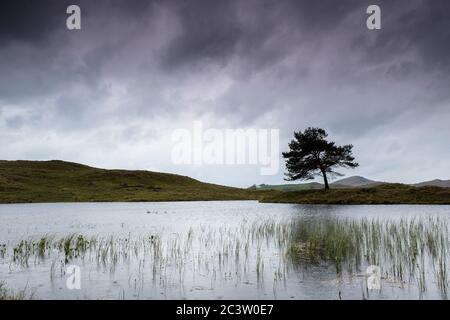 Lake District Spring images Stock Photo