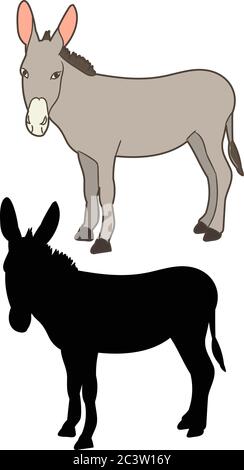 donkey standing in front of a white background Stock Vector