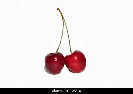 two sweet cherry isolated on white background with shadow Stock Photo