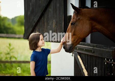 Little girl strokes a beautiful horse in the barn Stock Photo