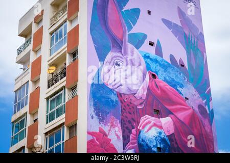 Morocco, Casablanca: buildings and mural in Zerktouni Boulevard. Mural depicting a giant rabbit, work by Mexican artist Werc Stock Photo