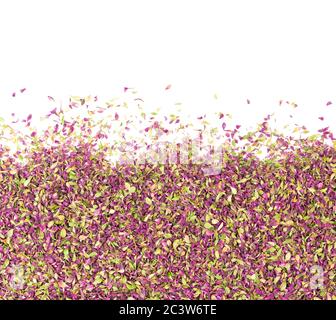 Dried thyme flowers, isolated on white background. Natural herbs - thyme. Organic tea. Top view. Close up. Stock Photo