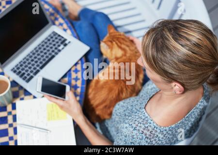 Overhead Shot Of Woman Working From Home On Laptop Outdoors In Garden During Lockdown Stroking Pet Cat Stock Photo