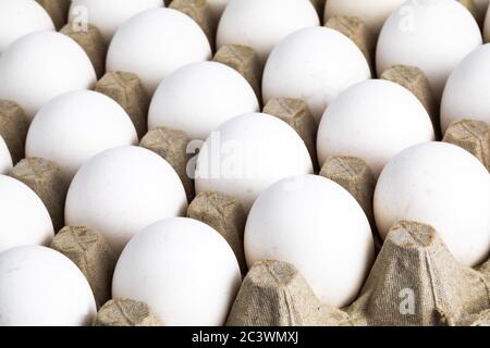 closeup of rows of white eggs in a 30 egg flat carton Stock Photo