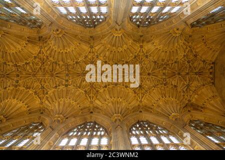 15th Century fan vaulting decorates the ceiling in Sherborne Abbey, Dorset, England. Stock Photo