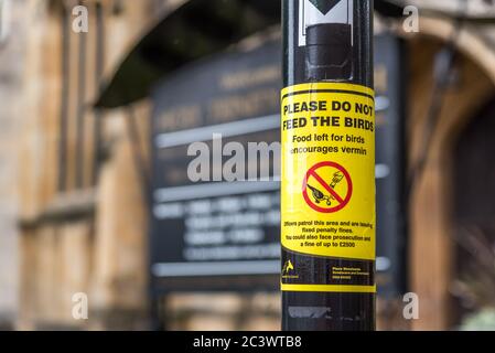 Coventry/ United Kingdom- 19 June 2020: warning sticker not to feed the birds in Coventry United kingdom. People who feed birds will be fined in certa Stock Photo