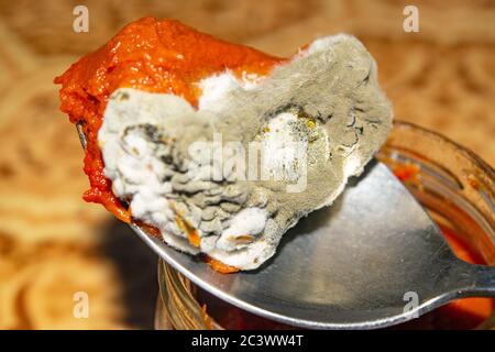 Mold growing on the tomato paste. Close up Stock Photo