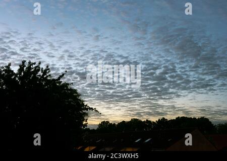 Sheep clouds (altocumulus) in the evening sky Stock Photo
