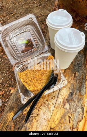 Piece of chocolate-nut cake and two paper cups with coffee on a picnic in the forest. Dessert for two in takeaway container. Stock Photo