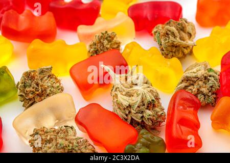 Cannabis edibles, medical marijuana, CBD infused gummies and edible pot concept theme with close up on colorful gummy bears and weed buds on white bac Stock Photo