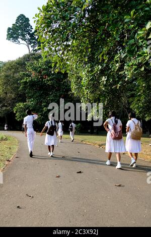 A group of young Sri Lankan school children walking in the botanical garden in Kandy, Sri Lanka. School kids on a tour with friends. Stock Photo